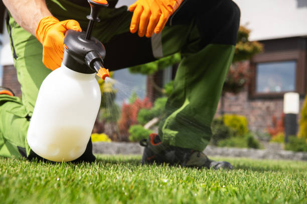 Reliable Marshall, TX Pest Control Solutions