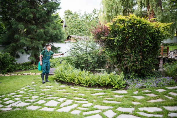 Best Pest Removal Services  in Marshall, TX