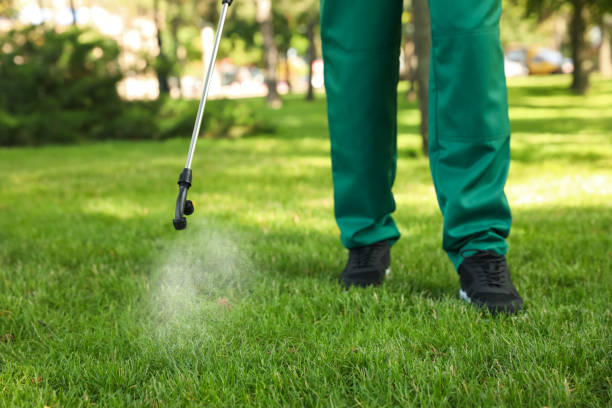 Best Pest Control Near Me in Marshall, TX