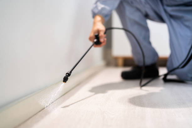 Pest Control Cost in Marshall, TX