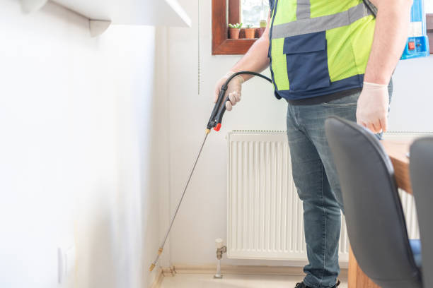 Best Local Pest Control Services  in Marshall, TX