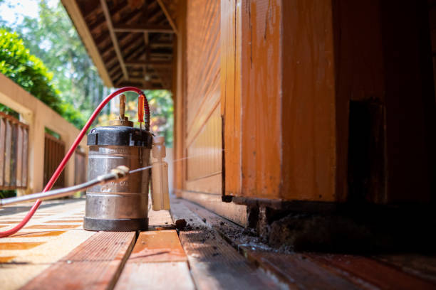 Best Exterminator Services  in Marshall, TX