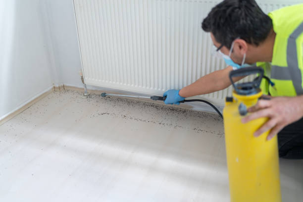 Best Mosquito Control Services  in Marshall, TX