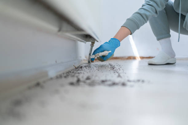 Best Insect Control  in Marshall, TX
